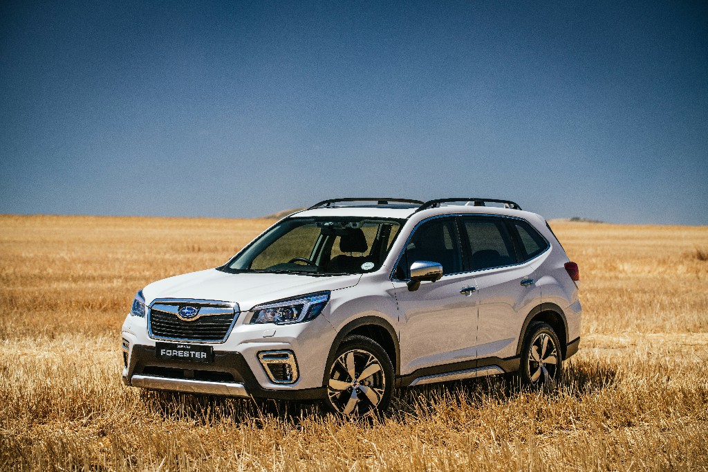Subaru forester drom